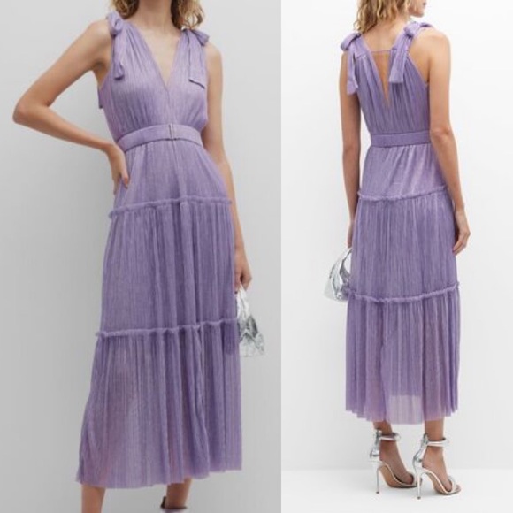 Sabina Musayev Dresses & Skirts - Sabina Musayev Helena Long Pleated Shimmer Dress